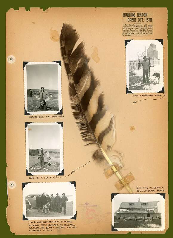 7: IWA-3-Alliance-580